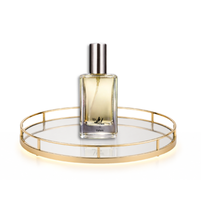 Like Yves Saint Laurent Opium | Oil-Based Fragrance | 60ml